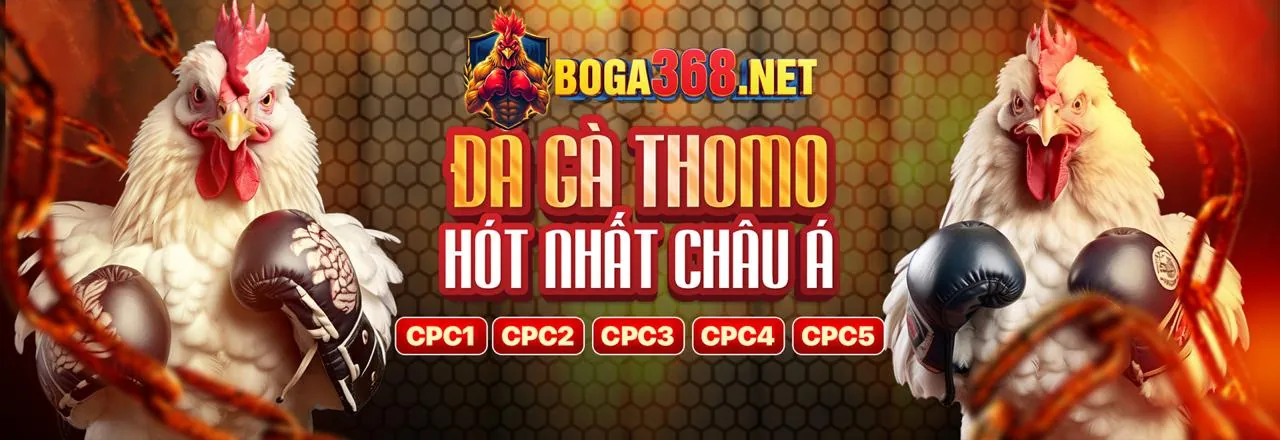 Đá Gà Trực Tuyến Hấp Dẫn tại king52 game