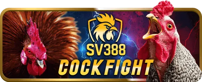 Đá Gà king52 game